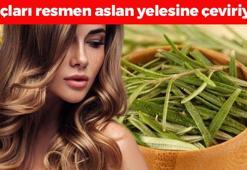 Değdiği yerden saç fışkırıyor! Şampuan içerisine 1 damla koymak yetiyor, kelliğin kesin ilacı! 100 gramı sadece 25 TL
