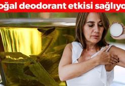 Şıpır şıpır terleme sorununu kökten çözüyor! Bir pamuğa döküp koltuk altına sürünce doğal deodorant etkisi sağlıyor, ter bezlerini yavaşlatıyor!