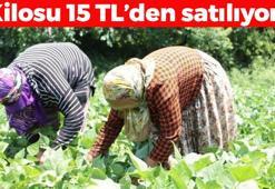 Kilosu 15 TL'den satılıyor: Bağırsakları çalıştırıp C vitamini yüklüyor! Kemikleri betona çeviriyor