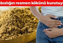 Yemeklere 1 kaşık atmak yetiyor! Bağırsakları makine gibi çalıştırıp demir eksikliğini tarihe gömüyor!