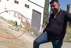 Sokak köpeklerinin saldırısından 'karate hareketleri' ile kurtuldu