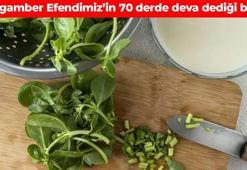 Peygamber Efendimiz de tavsiye ediyor! 70 derde deva oluyor: Damar sertliğini önlüyor, sindirim sistemini harıl harıl çalıştırıyor