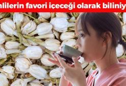 Çinliler bardak bardak içiyor! 5 dakikada hazır oluyor, metabolizma hızını yüzde 100'e çıkartıp yağları şıpır şıpır eritiyor!