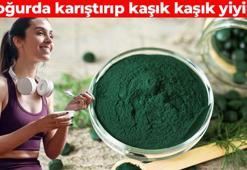 Dünyanın en sağlıklı besini! Kimse tüketmek istemiyor ama şifa deposu: NASA astronotlara veriyor, yoğurda katıp kaşık kaşık tüketin