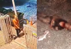 İstanbul'da sokak köpeklerinin saldırdığı kişi hayatını kaybetti: Bulmasak kardeşimi yiyeceklerdi