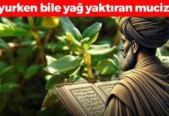 İbn-i Sina'nın 1000 yıl önce verdiği tarif! Metabolizma hızını yüzde 100'e çıkartıyor, 1 bardağı uyurken bile yağ yaktırıyor