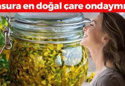 Güneş lekelerini silgi gibi siliyor! 1 damlası yaraları iyileştirip mikropları öldürüyor! Basura en doğal çare