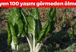 D vitamini zengini, demir eksikliğini tarihe gömüyor! Demeti 30 TL: Kabızlığın ve basurun kökünü kurutuyor, yiyen 100 yaşını görmeden ölmüyor!