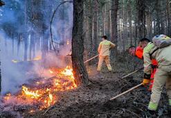 AFAD'dan Gerede'deki yangına ilişkin açıklama