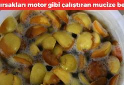 Bağırsakları motor gibi çalıştıran karışım! Her sabah 1 bardak için, mideyi rahatlatıyor, tıkalı bağırsakları hortum gibi açıyor