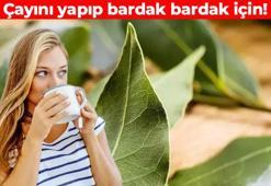 Türkiye'den Avrupa'ya kilo kilo satılıyor! Bir tek ölüme çare olmuyor: Reflü ve gastriti hafifletiyor, solunum yollarını dip köşe temizliyor, vücuda C vitamini yüklüyor