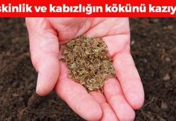 Ağrı, gaz ve şişkinliğin kökünü kazıyor! Her sabah 1 kaşığı yeterli oluyor, kemikleri betona çevirip kabızlığı tarihe karıştırıyor!