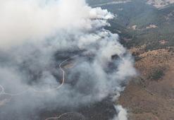 BOLU’DA YANGIN SON DAKİKA! Bolu yangını söndürüldü mü, kontrol altına alındı mı? Bolu yangını nerede, başlama sebebi ne?