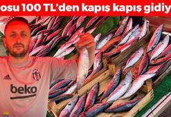 Kilosu 100 TL'den tezgahta yerini aldı! Kapış kapış satılıyor: Kolesterol seviyelerini anında sıfırlıyor, kalsiyum, omega-3, potasyum depolarını fullüyor!