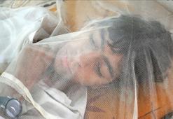 Sağlık Bakanlığı'ndan Batı Nil Virüsü Enfeksiyonu açıklaması