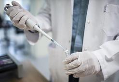 İskenderun'da maymun çiçeği vakası tespit edildiği iddiasına yalanlama