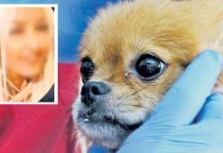 Köpeklere eziyeti eski sevgili ifşa etti