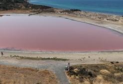 'Kalpli Göl' pembe renge bürününce araç girişleri yasaklandı