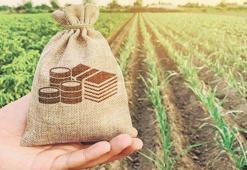 'Coğrafi işaret' ürüne değer katıyor