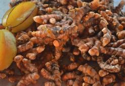 Sabahları 1 kaşık yemek yeterli oluyor! Beyni fişekliyor, Alzheimer'a karşı kalkan oluyor! Dünyanın en güçlü antioksidanı