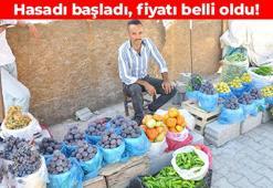 Batman'da hasadı başladı! Kilosu 50 TL'den satılıyor: Vücuda potasyum ve magnezyum yüklüyor, kemikleri beton gibi kuvvetlendiriyor