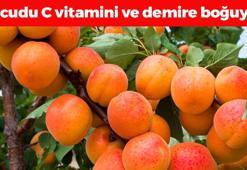 Suyunu bardak bardak için! Bağırsakları makine gibi çalıştırıp vücudu C vitamini ve demire boğuyor