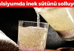1 kaşık ekleyince iç organlara duş aldırıyor! Kalsiyumda inek sütünü solluyor, 15 dakika bekletince doğal ilaç etkisi sağlıyor! Kabızlığı bitiren mucize