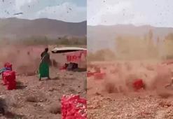 Amasya'da korku dolu anlar! Hortuma yakalandılar