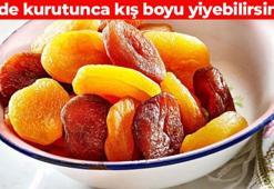 Yazın kurutunca kış boyu yiyebilirsiniz! 6 aya kadar tazeliğini koruyor: Evde kayısı kurutma yöntemleri