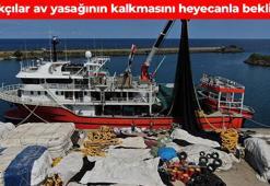 Balıkçılar 'Vira Bismillah' demek için bekliyor! Denizin lezzetli balığı sofralara ulaşacak: Omega-3, D vitamini, selenyum; ne ararsan onda