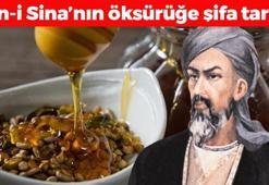 İbn-i Sina'nın bin yıllık reçetesi! Hırıltı, öksürük ve balgamı bıçak gibi kesiyor, göğsü pamuk gibi yapıyor!