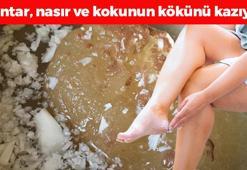 Ayaktaki mantar, nasır ve kokunun kökünü kazıyor! Egzamaya iyi geliyor, 1 damlası bile yetiyor, ayakları bebek gibi yumuşacık yapıyor!