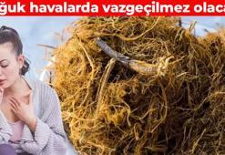 Eylül geldi çattı, soğuk algınlığına dikkat! 70 çeşit faydası var: Grip, bronşit ve astımın en doğal çözümü