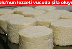 Dünyanın en lezzetli peynirlerinden biri! Vücuda protein yükleyip kas yaptırıyor: Kemikleri kolon gibi sağlamlaştırıyor, tok tutma garantili