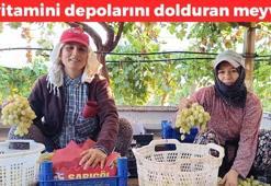 Daha dalındayken kapanın elinde kaldı! Kilosu 25 TL: Kemikleri beton gibi yapıyor, kolesterolü yere çakıyor, resmen vitamin mineral deposu