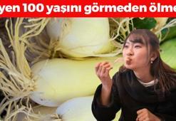 Japonların uzun yaşam sırrı! Her gün 1 tane yiyen 100 yaşını görmeden ölmez, karaciğeri yeniden doğmuş gibi yapıp vücudu kalsiyuma boğuyor!