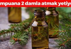 Şampuana 2-3 damla katmak yetiyor! Saçları parıl parıl parlatıp kepek, kaşıntı ve egzamanın kökünü kazıyor! Aslan yelesi gibi saçların sırrı ondaymış