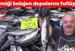 Tanesi 50 TL'den kapış kapış satılıyor! A, D ve B vitamini zengini, kolesterolü damardan silip atıyor! Kemiği kolajen takviyelerini aratmıyor