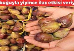 Şimdi tam mevsimi! Kabuğuyla yiyince ilaç etkisi veriyor, C vitamini kralı, kolesterolü yere çakıyor