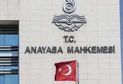 AYM, ‘Hayvanları Koruma Kanunu'nu esastan inceleyecek