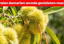 Tıkalı damarları anında genişleten mucize! 1 avuç yemek yetiyor: Doğal tansiyon ilacı, kemikleri çelik gibi güçlendiriyor