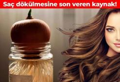 Kelleşmiş yerden bile saç çıkarıyor! Beyaz saçları simsiyah yapıyor: Kepeği ve mantarı yok ediyor