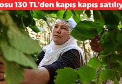 Bereketli topraklarda hasadı başladı! Kilosu 130 TL: Engebeli arazide yetiştiriliyor, bağırsakları motor gibi çalıştırıp kemikleri betona çeviriyor, kolesterolü yere çakıyor