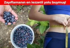 Tezgahta görünce mutlaka alın! Vücuttaki her bir yağ zerresini eritiyor: Tatlı isteğini bastırıyor, sindirim sistemini uyandırıyor