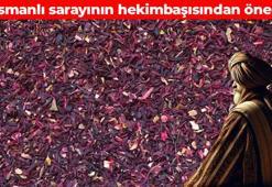 Osmanlı sarayının hekimbaşı önermiş! Hayatizade Mehmed Efendi'nin şifalı bitkisi: Bağırsakları çalıştırıp mideyi rahatlatıyor