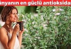Kalsiyum, demir ve manganez deposu! Demeti 30 TL: Limon ve sarımsaktan 30 kat güçlü, dünyanın en kuvvetli doğal antibiyotiği