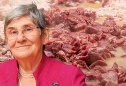 Canan Karatay'dan şaşırtan açıklama: Yıllarca kalp krizine neden oluyor deyip yedirmediler! Bu besinler vücuda D vitamini yüklüyor