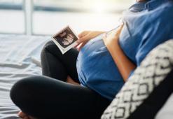 Batı nil virüsü anne sütünden bebeğe geçer mi?