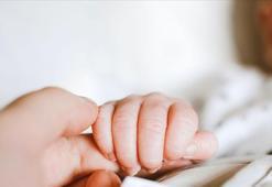 Batı Nil virüsüne dikkat! Anneden bebeğe geçebilir: Emzirme süreci önem taşıyor