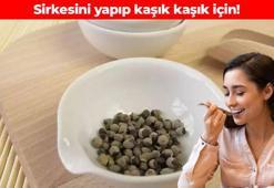 Sirkesini yapıp tüketin! Sabah kaşık kaşık içen uzun yaşıyor: Hazımsızlık ve şişkinliği bitiriyor, iltihabın kökünü kurutuyor, cildi bebek gibi yapıyor